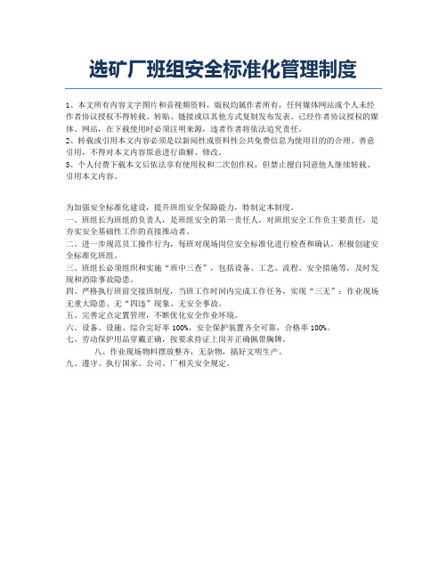 选矿厂班组安全标准化管理制度.docx