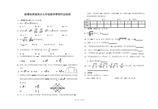 新课标突破高分九年级数学寒假作业检测