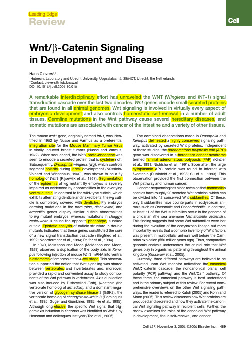 Wnt_β-Catenin Signaling