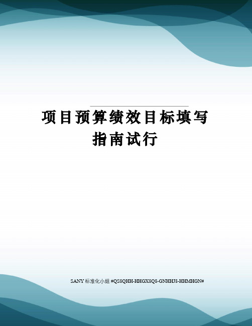 项目预算绩效目标填写指南试行