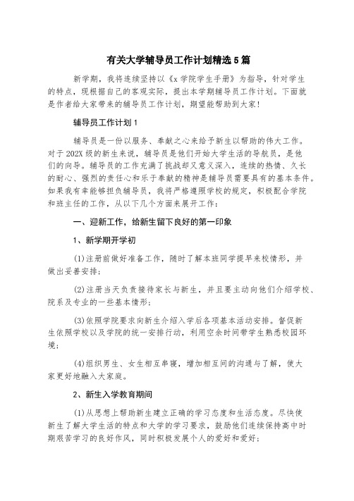 有关大学辅导员工作计划精选5篇