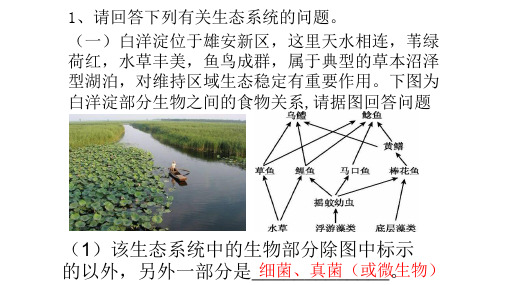 初中生物练习题(含答案)