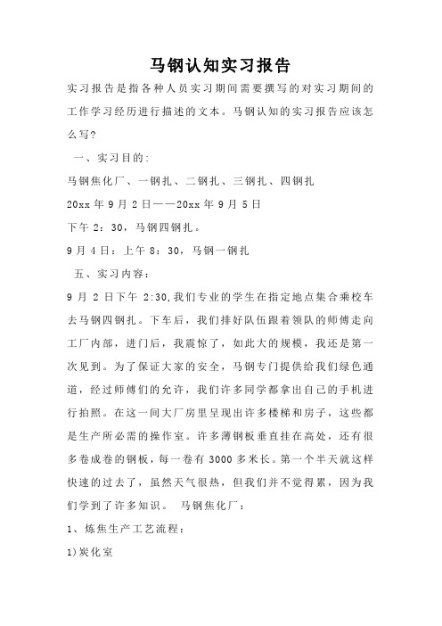 马钢认知实习报告