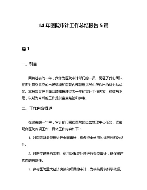 14年医院审计工作总结报告5篇