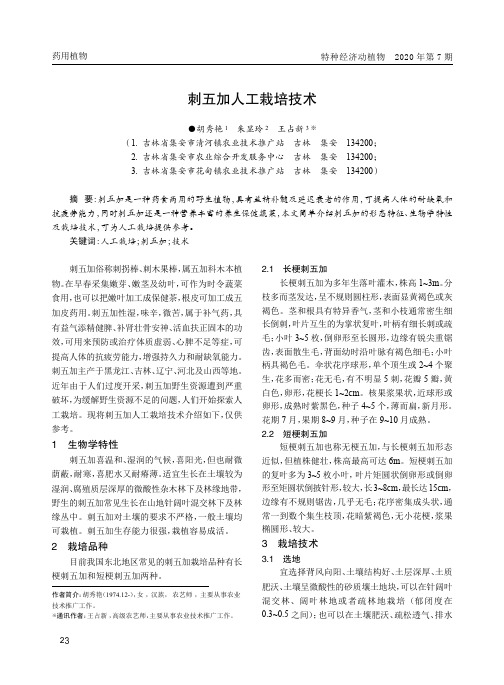 刺五加人工栽培技术