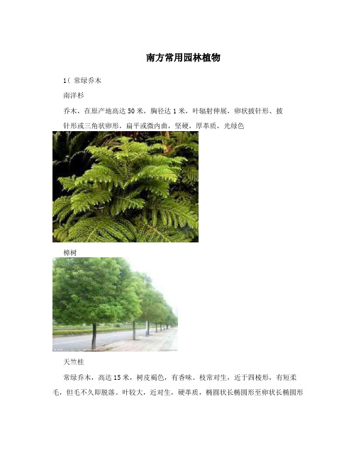 南方常用园林植物