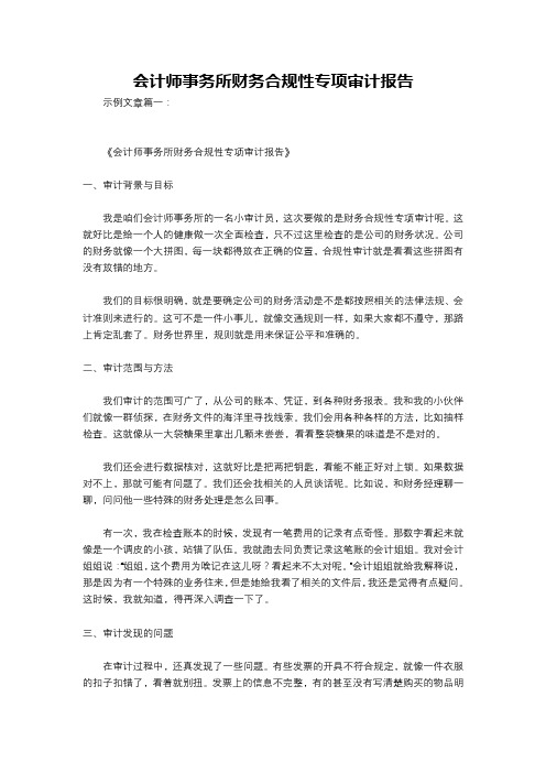 会计师事务所财务合规性专项审计报告