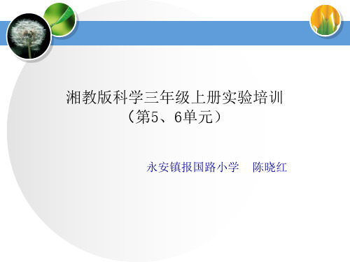 湘教版科学三年级上5、6单元实验操作