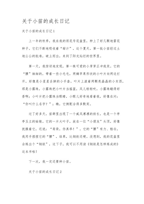 关于小苗的成长日记