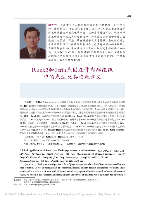 Runx2和Ezrin基因在骨肉瘤组织中的表达及其临床意义