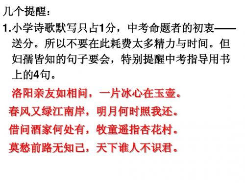 聚焦中考热点