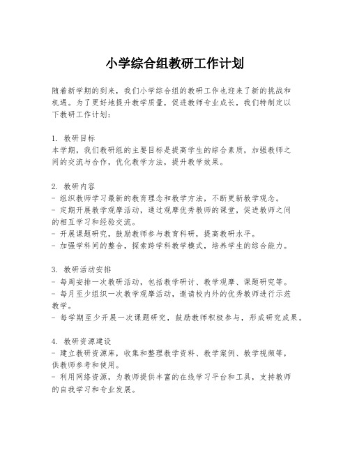 小学综合组教研工作计划