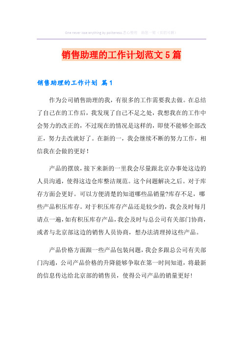 销售助理的工作计划范文5篇