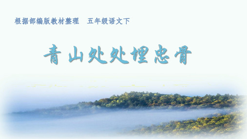 部编版五年级语文下册第10课《青山处处埋忠骨》优质教学课件