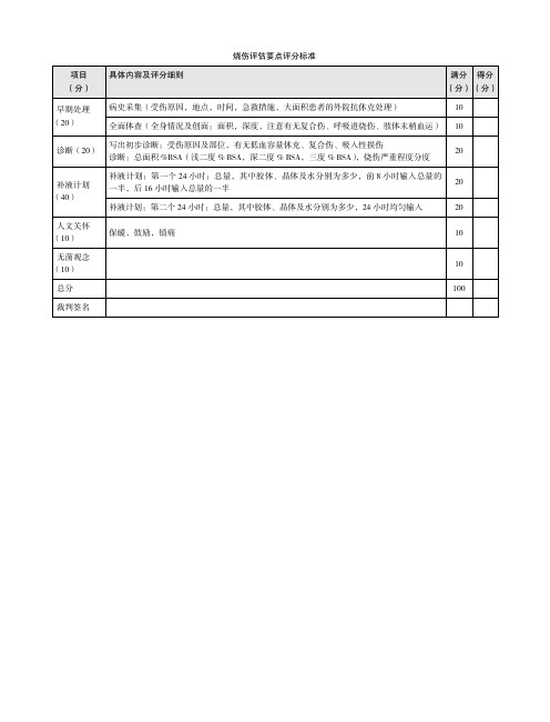 烧伤评估要点评分标准