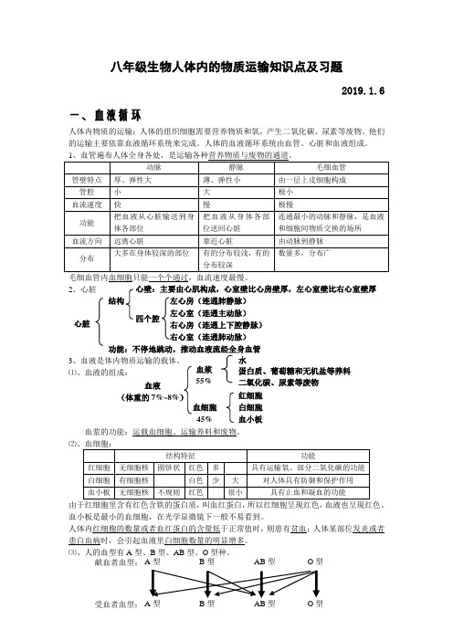 八年级生物血液循环重要知识点汇总及习题,小中考复习