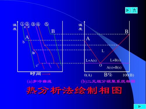 实验05金属相图(Pb-Sn体系) (1)