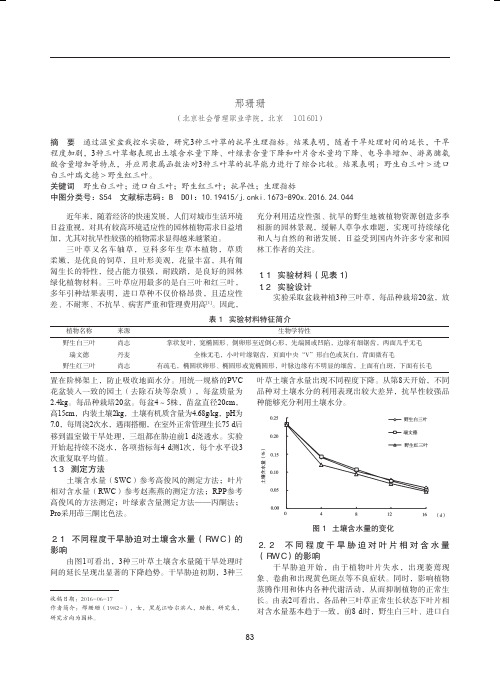 三种三叶草抗旱性分析