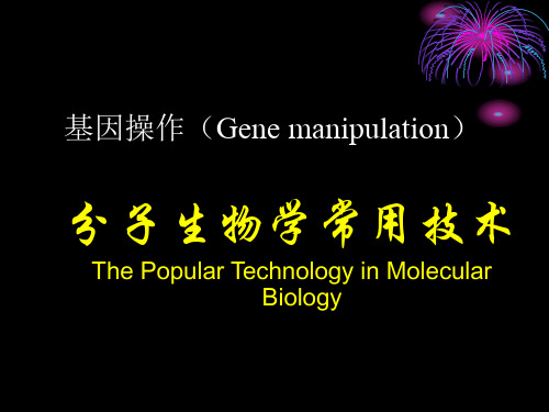 分子生物学常用技术-基因操作