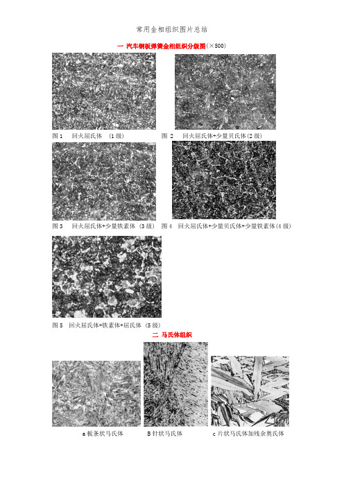 常用金相组织图片总结 (2)