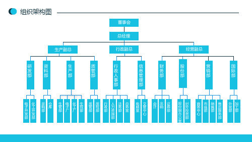 公司组织架构图