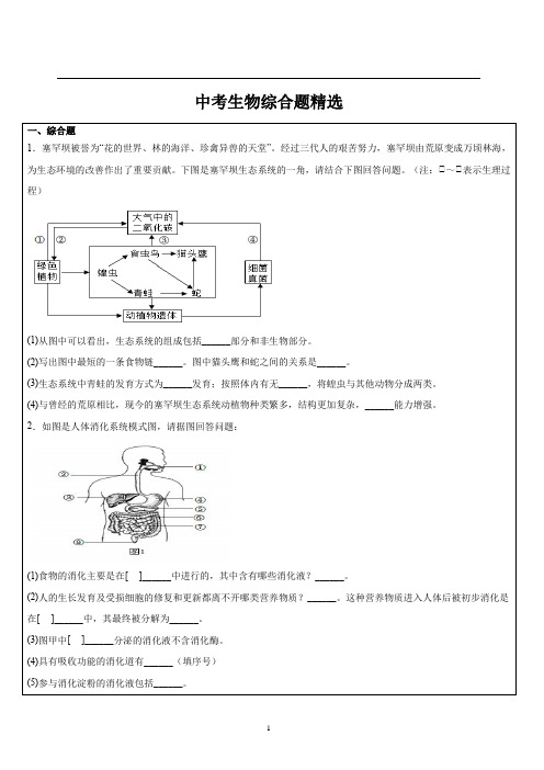 中考生物综合题精选(原卷版)