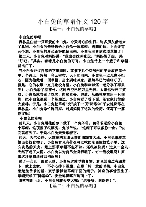 白兔作文之小白兔的草帽作文120字