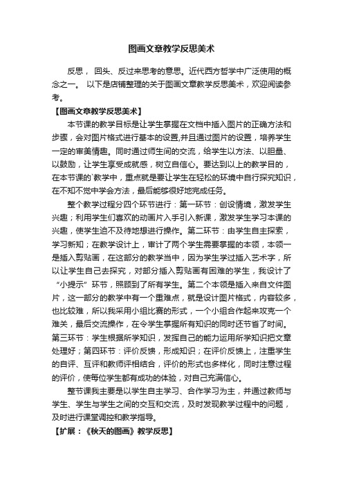 图画文章教学反思美术