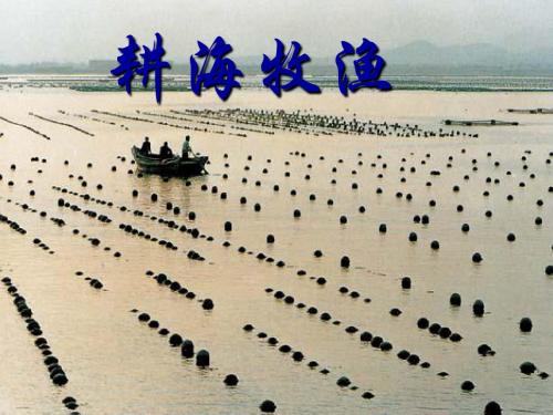 傍水而居(耕海牧鱼)