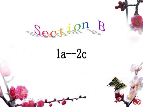 九年级英语 unit3 Section B (1A-2C)