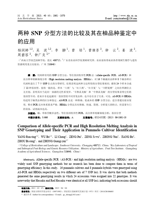 两种SNP分型方法的比较及其在柚品种鉴定中的应用_杨润婷