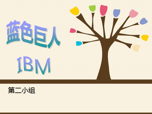 IBM-激励体制分析