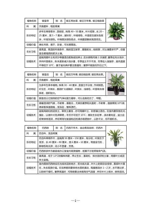 50种常见室内盆栽绿化植物介绍(带图片)[1]