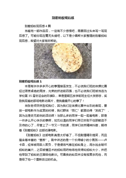 别惹蚂蚁观后感