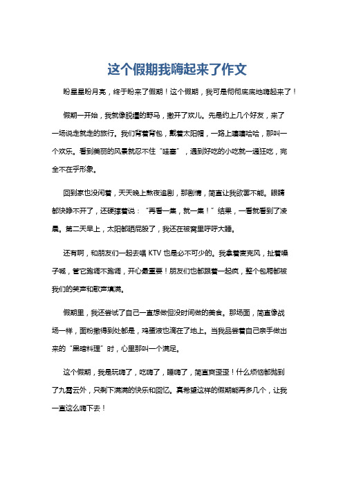这个假期我嗨起来了作文