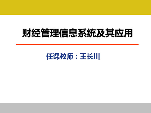 财经管理信息系统PPT课件