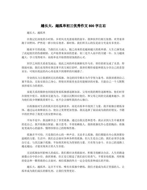 越长大,越孤单初三优秀作文800字左右