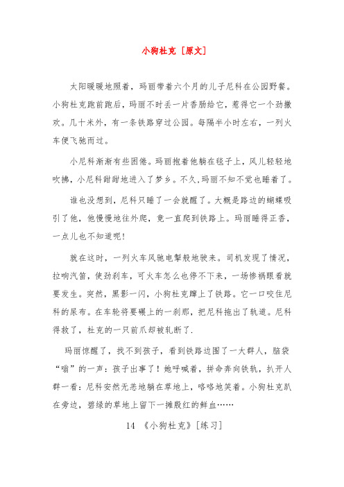 沪教版小学语文三年级上14-小狗杜克-课后、课外练习和作文课课练答案