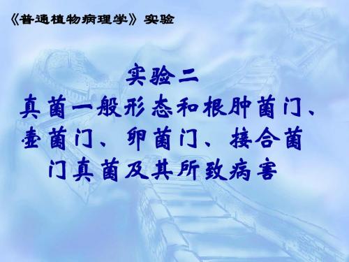 植物病理学实验实验二、真菌一般形态和根肿菌门、壶菌门、卵菌门、接合菌门真菌及其所致病害