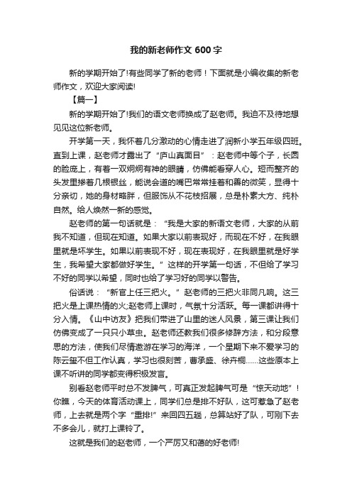 我的新老师作文600字