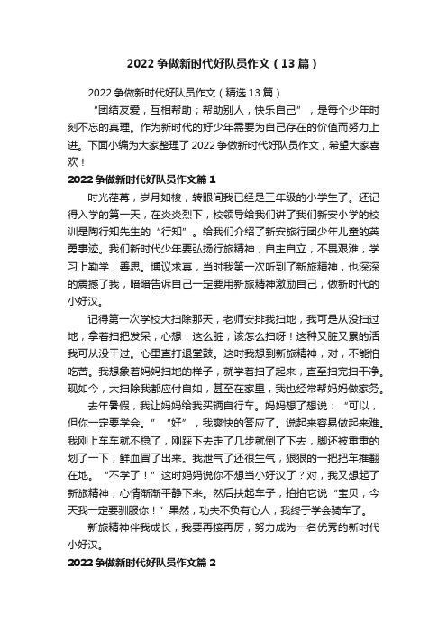 2022争做新时代好队员作文（13篇）