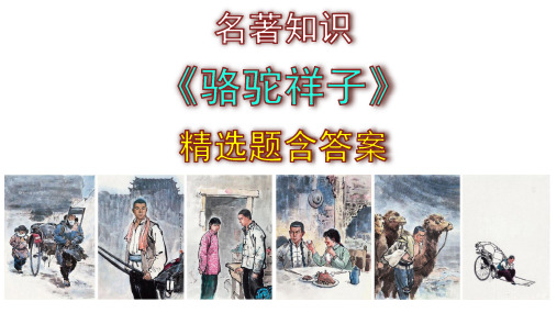 七年级下册语文名著知识《骆驼祥子》精选题含答案