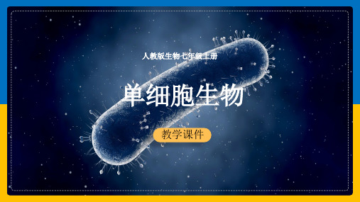 初中生物人教版七年级上册《单细胞生物》课件