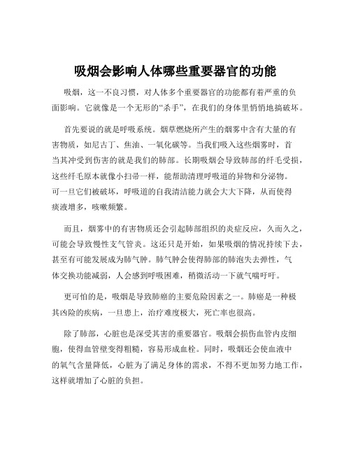 吸烟会影响人体哪些重要器官的功能