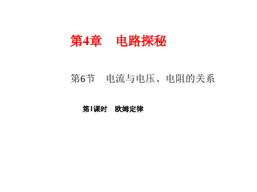 新浙教版科学八年级上册课件：欧姆定律