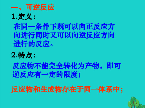 浙江省桐乡市高三化学化学反应的限度复习课件新人教版