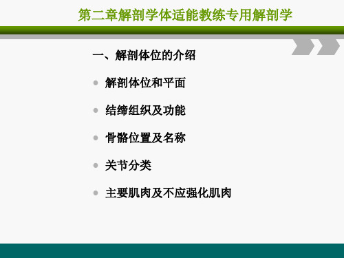 私人健身教练课程第二章《解剖学》PPT课件