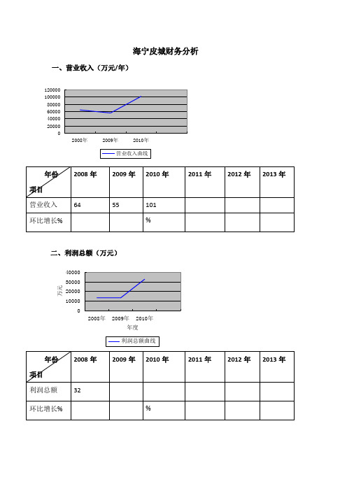 海宁皮城财务分析