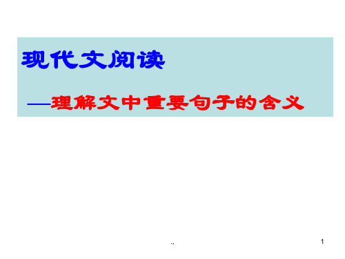 理解文中重要句子含义复习.ppt