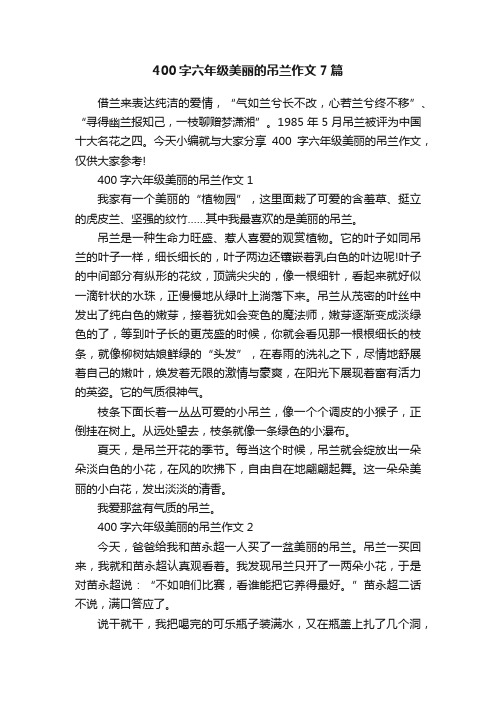 400字六年级美丽的吊兰作文7篇